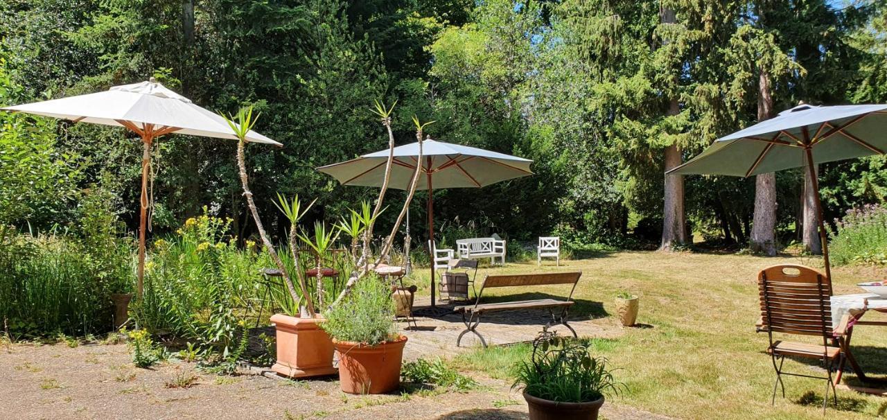 Maisonmazerand Cirey-sur-Vezouze エクステリア 写真