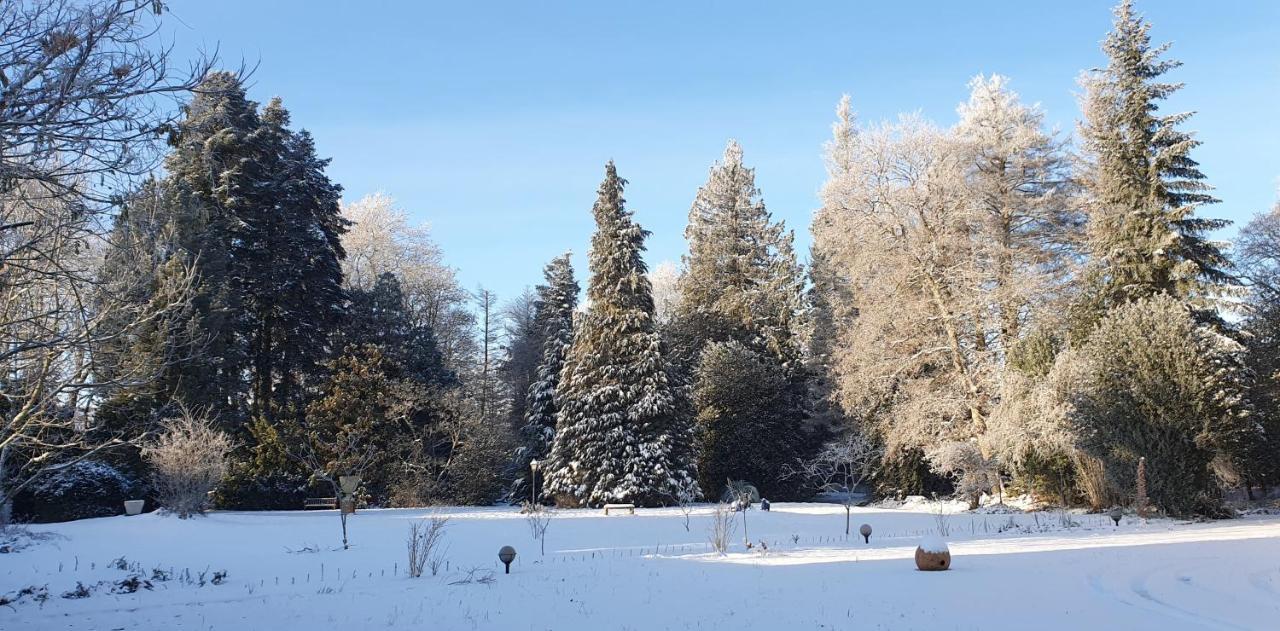 Maisonmazerand Cirey-sur-Vezouze エクステリア 写真