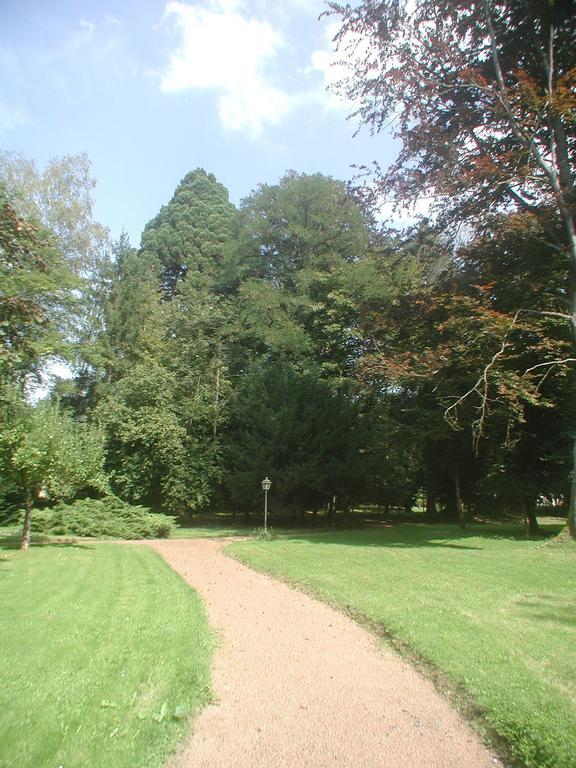 Maisonmazerand Cirey-sur-Vezouze エクステリア 写真